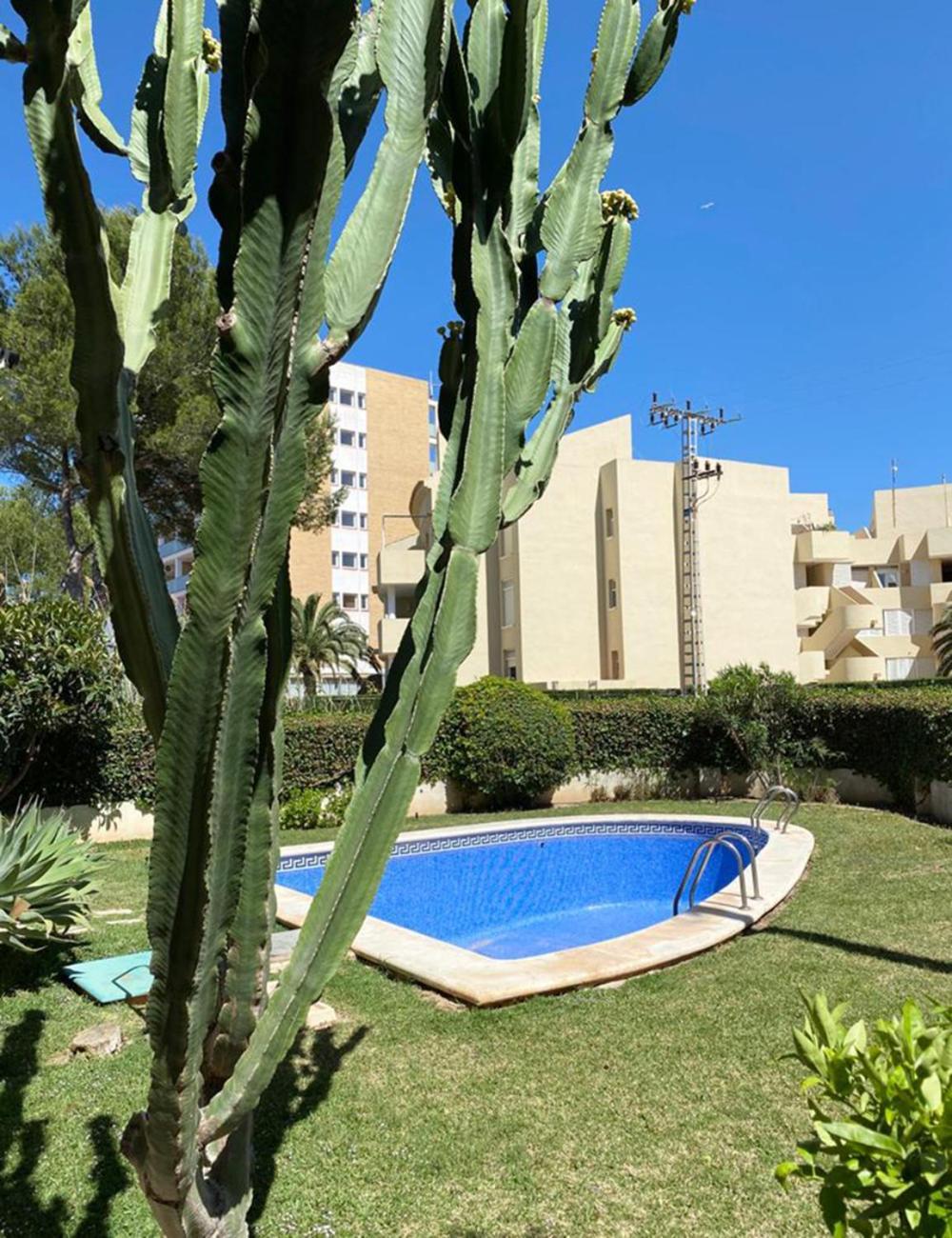 Apartamento El Canal خافييا المظهر الخارجي الصورة